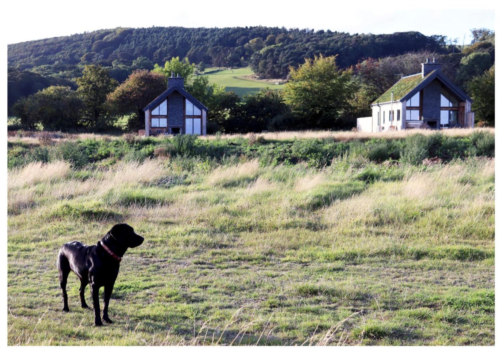 Eco-Lodge With Sea View Charleton Estate Colinsburgh Extérieur photo